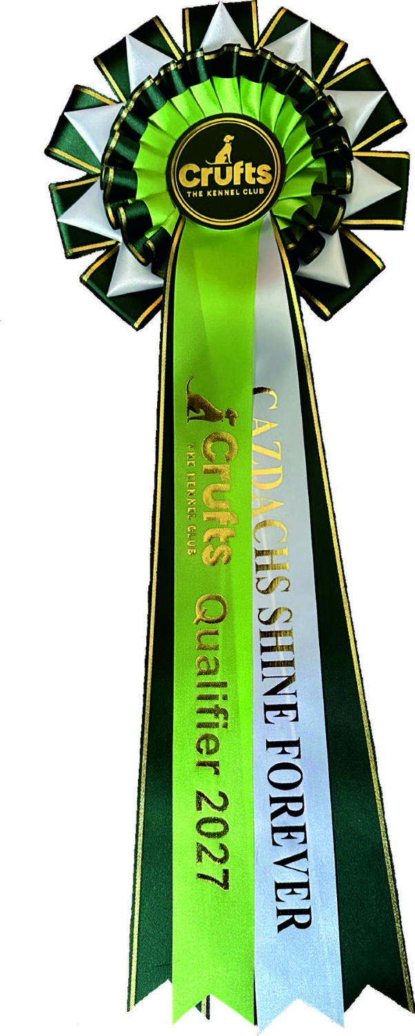 Crufts Qualifying Rosette WITH Dog's Name*